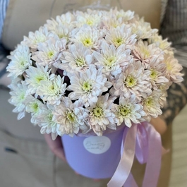 Шапочка хризантем