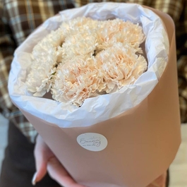 Нежные диантусы